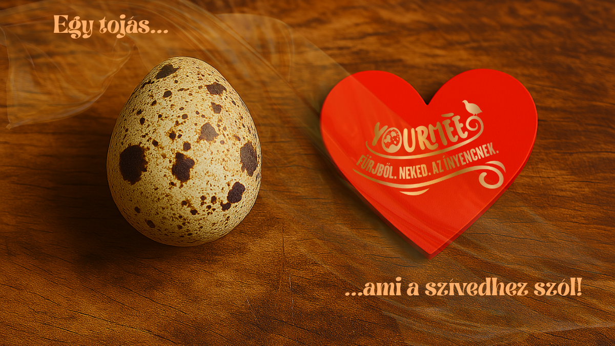 Egy tojás, ami a szívedhez szól 💛3